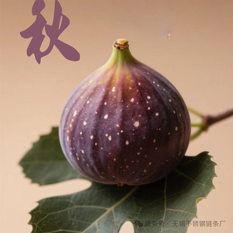 1755312184309416.png 微信圖片_2025-08-16_102859_022.png