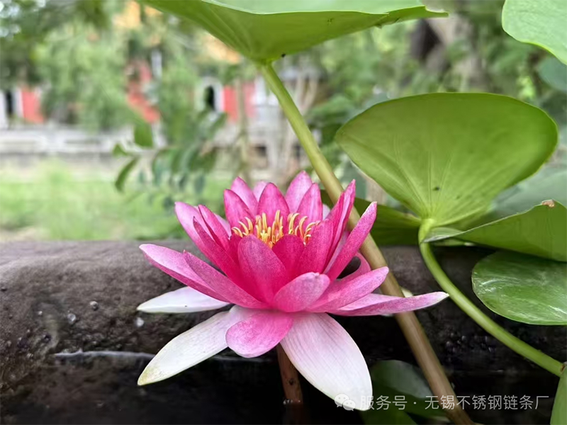 1755312231197641.png 微信圖片_2025-08-16_102929_805.png